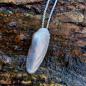Preview: Amerikanische Bohrmuschel - 925/- Silber
