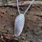 Preview: Amerikanische Bohrmuschel - 925/- Silber