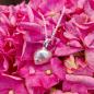 Preview: Strandschnecke - die „Kleine“ 925/- Silber