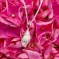 Preview: Wellhornschnecke - die "Kleine" 925/- Silber