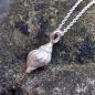 Preview: Wellhornschnecke - die "Kleine" 925/- Silber