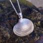 Preview: Teppichmuschel - 925/- Silber