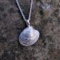 Preview: Teppichmuschel - 925/- Silber