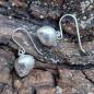 Preview: Strandschnecke Ohrhänger - 925/- Silber