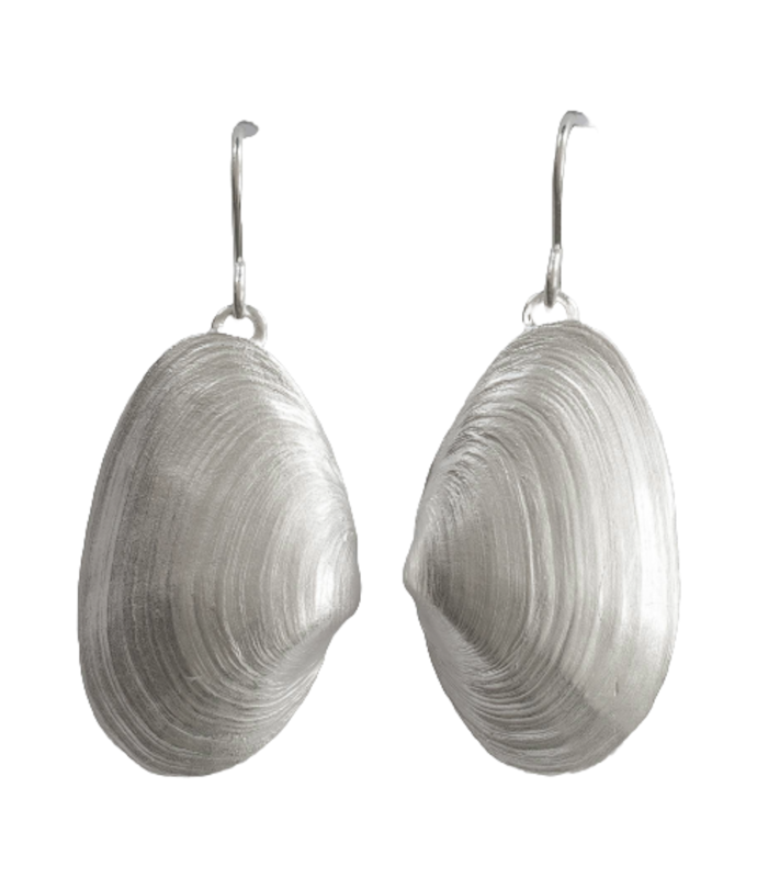Sandklaffmuschel - Ohrhänger - 925/- Silber