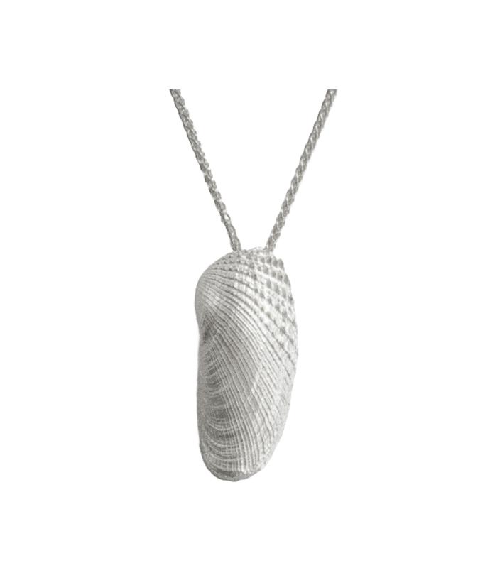 Amerikanische Bohrmuschel - 925/- Silber