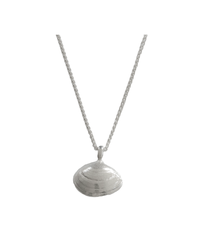 Plattmuschel - die „Kleine“ 925/- Silber