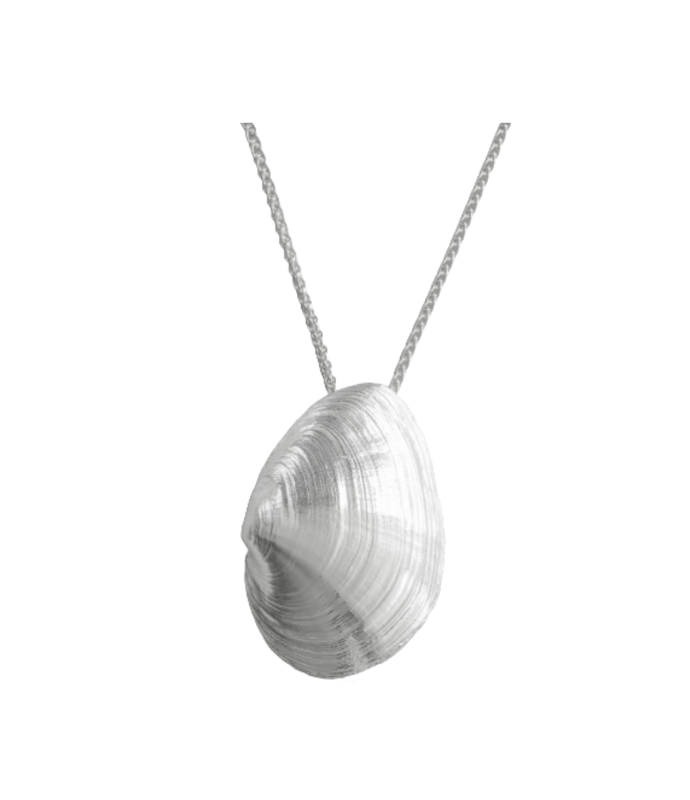 Sandklaffmuschel - 925/- Silber