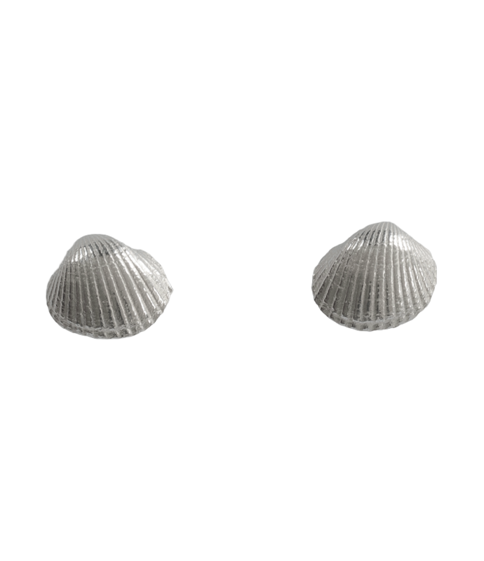 Kleine Herzmuschel - Ohrstecker - 925/- Silber
