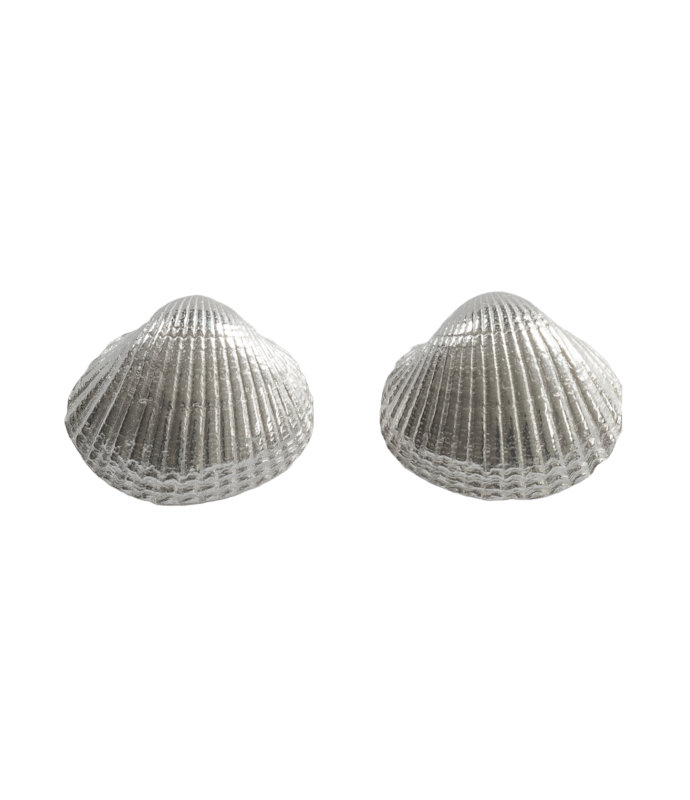 Große Herzmuschel Ohrstecker - 925/- Silber
