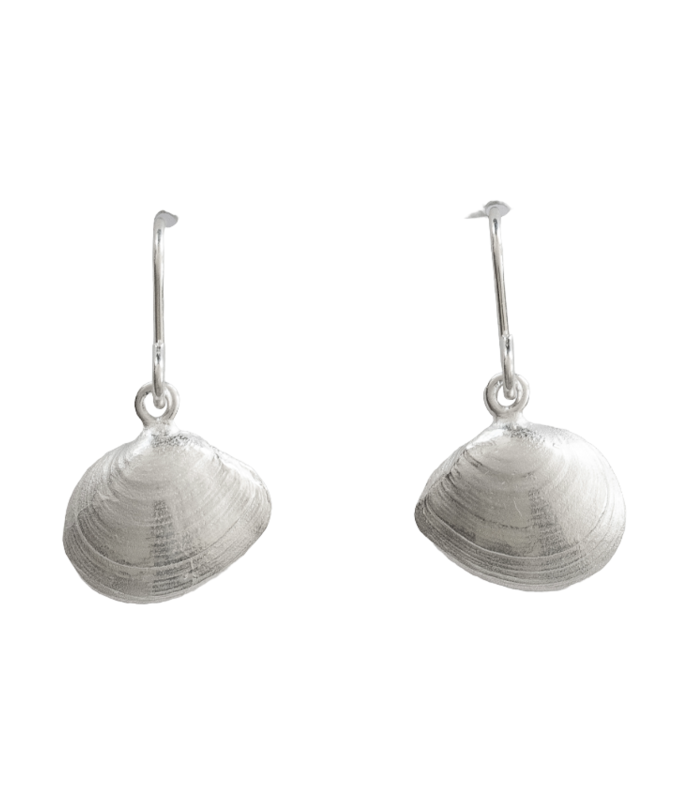 Plattmuschel Ohrhänger - 925/- Silber