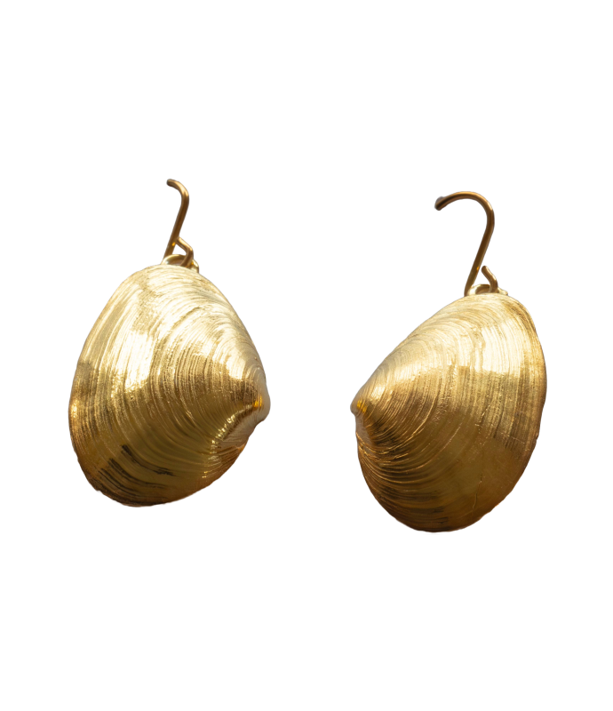 Sandklaffmuschel - Ohrhänger - 925/- Silber vergoldet