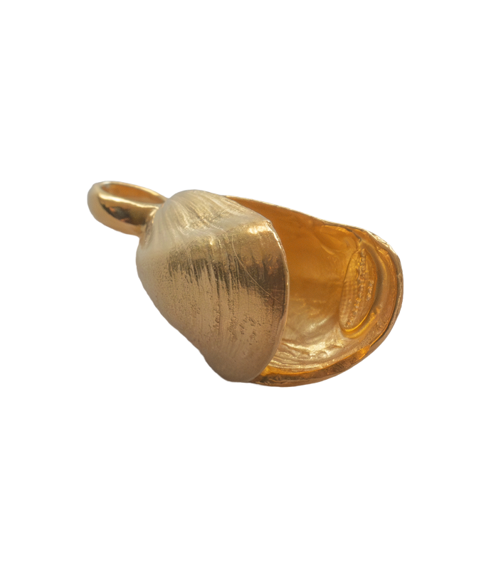 Miesmuschel - 925/- Silber vergoldet