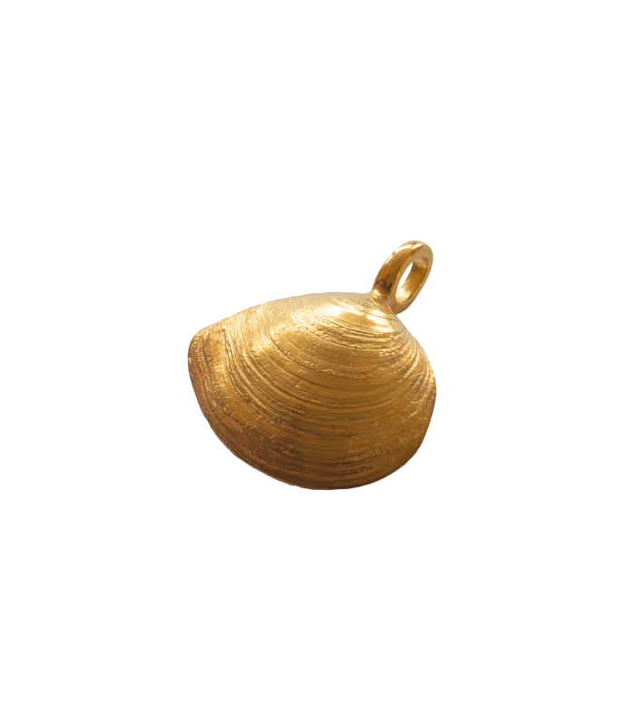 Plattmuschel - 925/- Silber vergoldet