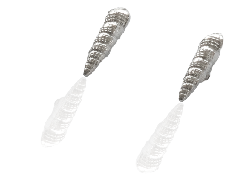 Turmschnecke Ohrstecker