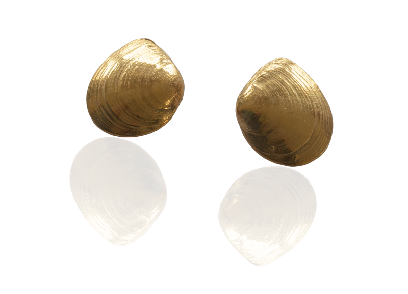 Plattmuschel Ohrstecker vergoldet