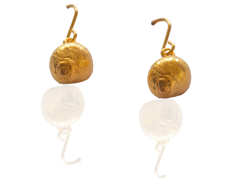 Strandschnecker Ohrhänger vergoldet