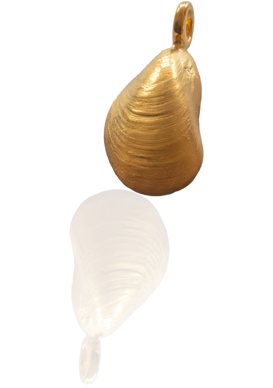 Miesmuschel - die „kleine“ 585/- Gold