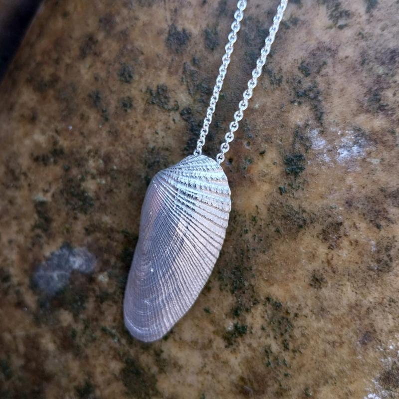 Amerikanische Bohrmuschel - 925/- Silber