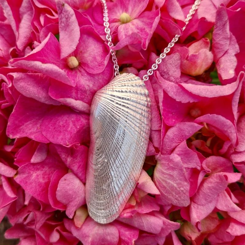 Amerikanische Bohrmuschel - 925/- Silber