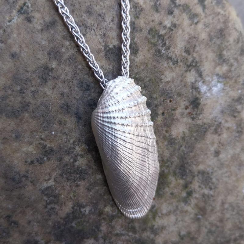 Amerikanische Bohrmuschel - 925/- Silber