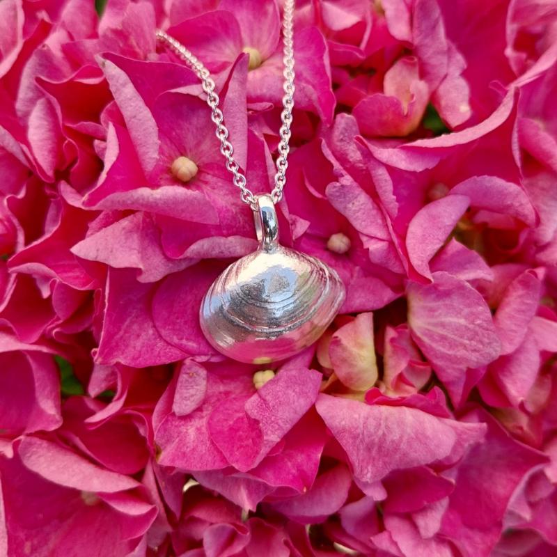 Plattmuschel - die „Kleine“ 925/- Silber