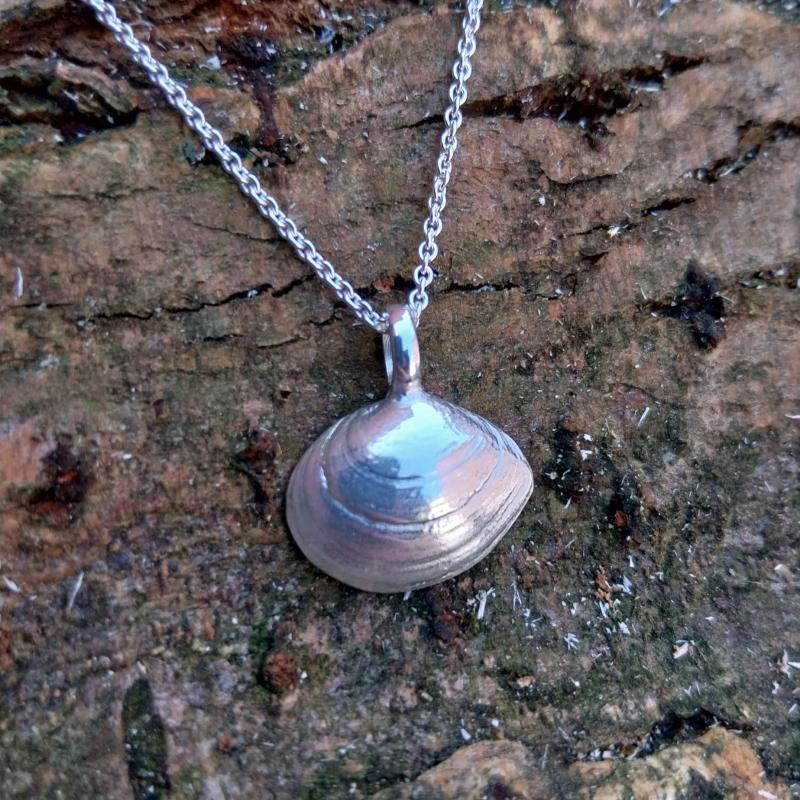 Plattmuschel - die „Kleine“ 925/- Silber