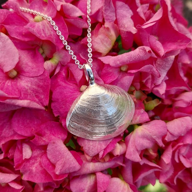 Plattmuschel - 925/- Silber