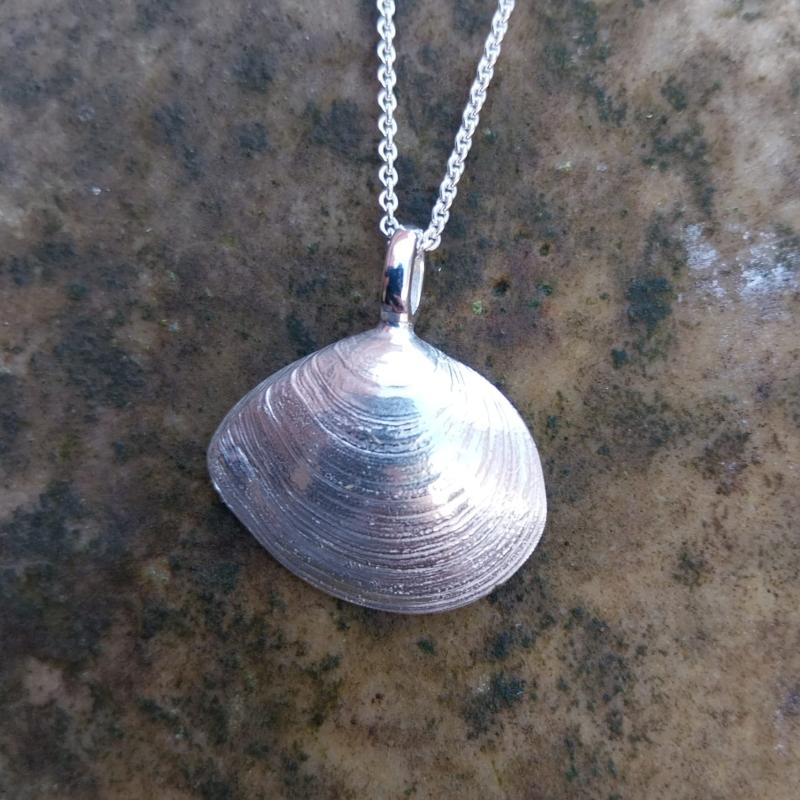 Plattmuschel - 925/- Silber