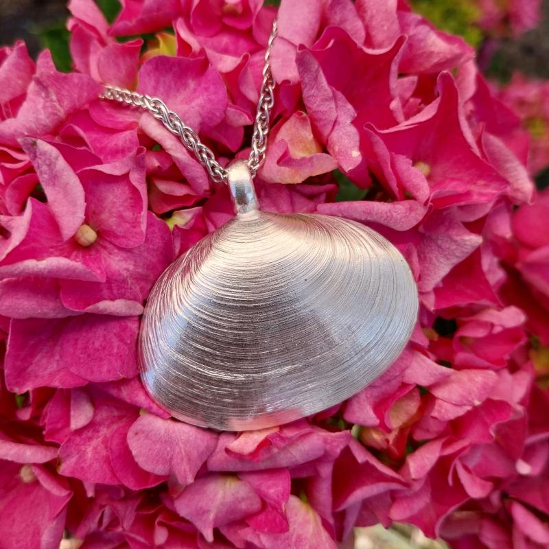 Pfeffermuschel - die „Große“ 925/- Silber
