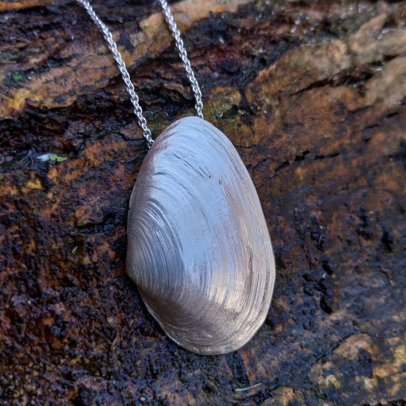 Sandklaffmuschel - 925/- Silber