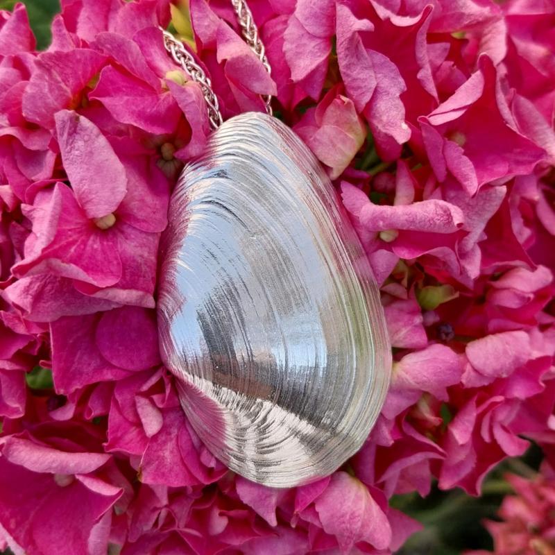 Sandklaffmuschel - 925/- Silber