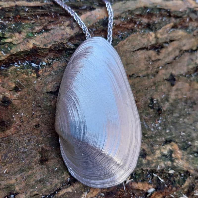 Sandklaffmuschel - die „Große“ 925/- Silber