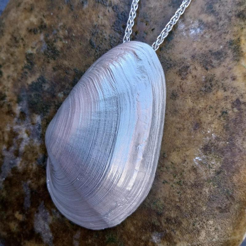 Sandklaffmuschel - die „Große“ 925/- Silber
