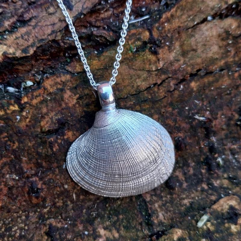 Teppichmuschel - 925/- Silber