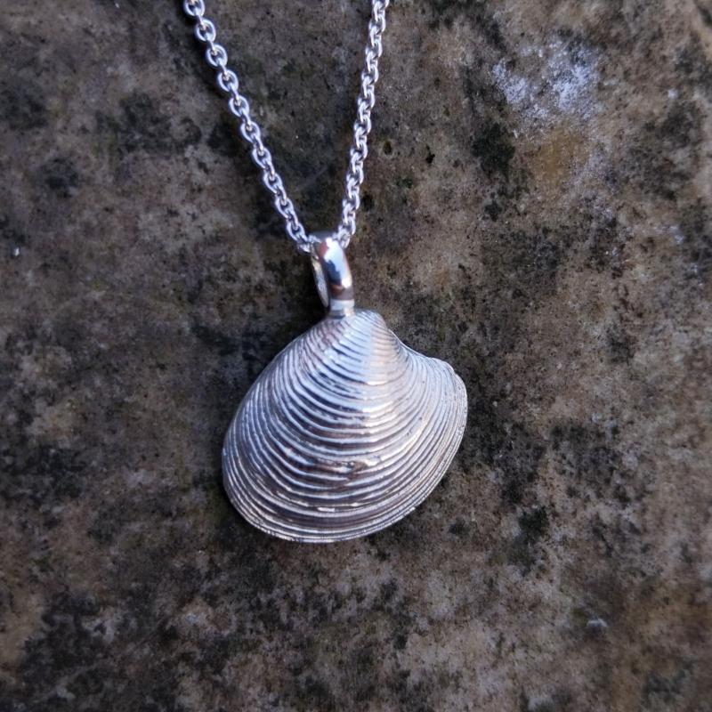 Teppichmuschel - 925/- Silber