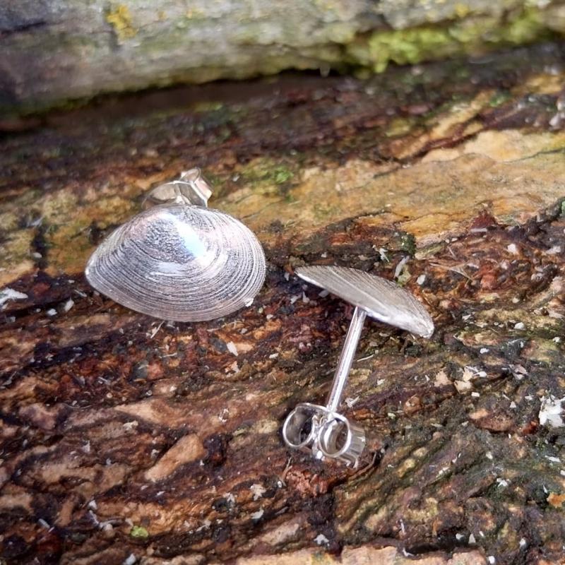 Plattmuschel Ohrstecker - 925/- Silber