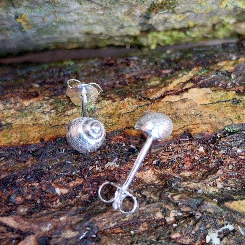 Strandschnecke Ohrstecker - die "Kleinen" - 925/- Silber