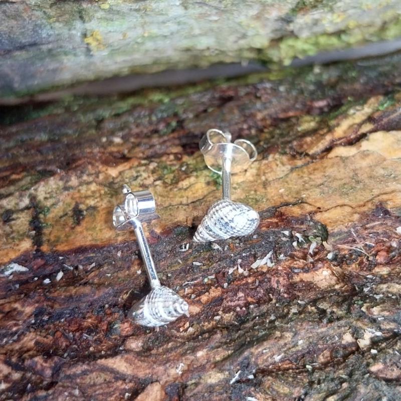 Netzreusenschnecke Ohrstecker - 925/- Silber
