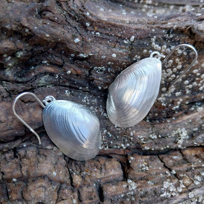 Sandklaffmuschel - Ohrhänger - 925/- Silber