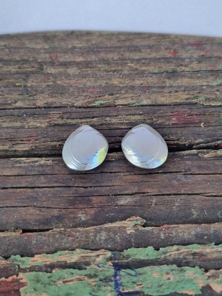 Plattmuschel Ohrstecker