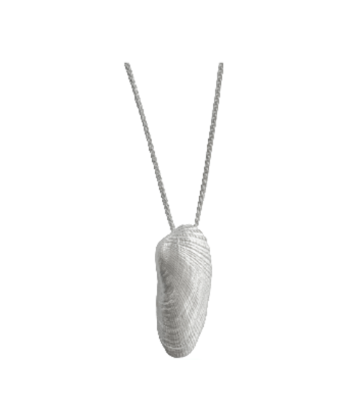 Amerikanische Bohrmuschel - 925/- Silber