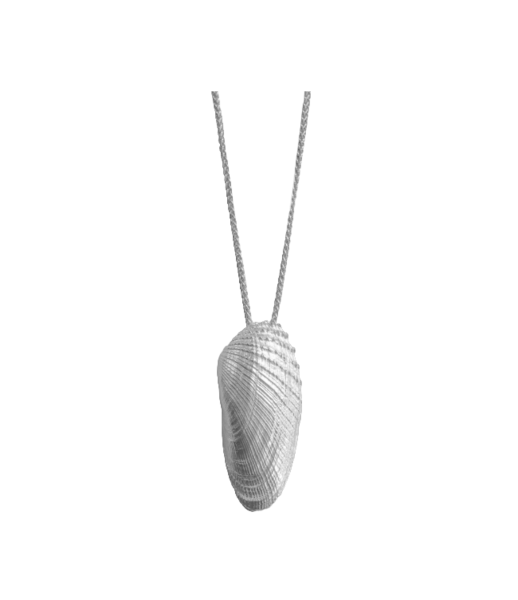 Amerikanische Bohrmuschel - 925/- Silber