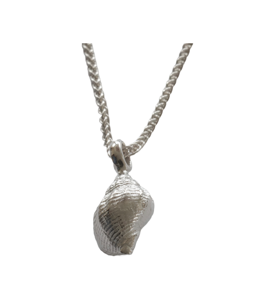 Wellhornschnecke - die "Kleine" 925/- Silber