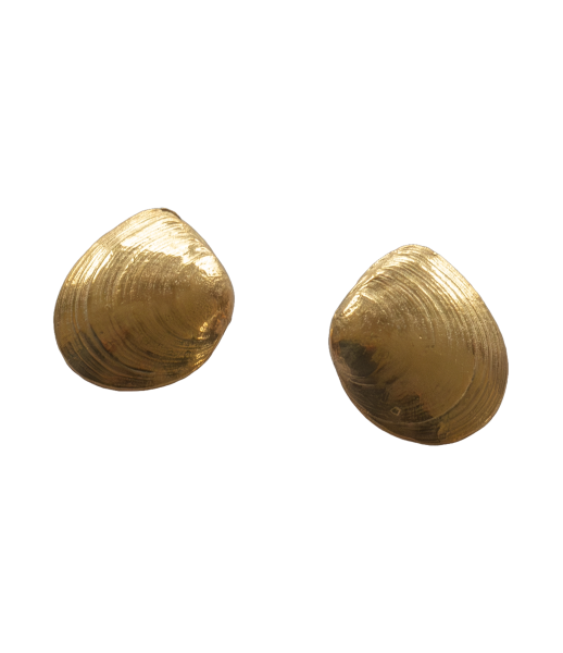 Plattmuschel Ohrstecker - 925/- Silber vergoldet