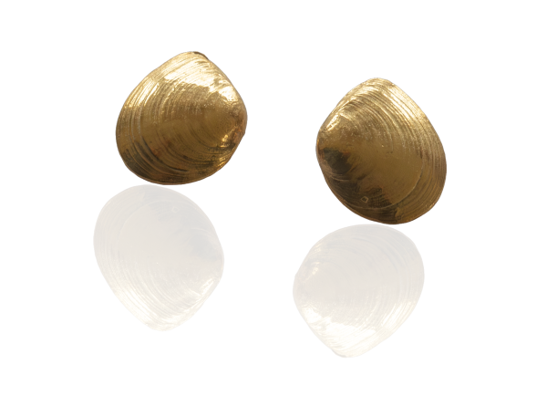 Plattmuschel Ohrstecker vergoldet