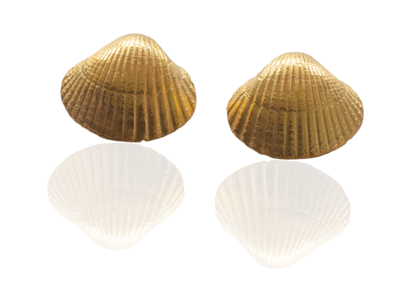 Kleine Herzmuschel - Ohrstecker 585/- Gold