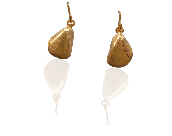 Miesmuschel Ohrhänger vergoldet