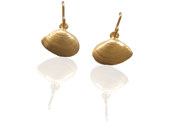 Plattmuschel Ohrhänger vergoldet