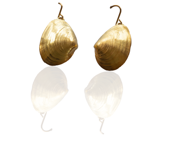 Sandklaffmuschel - Ohrhänger vergoldet